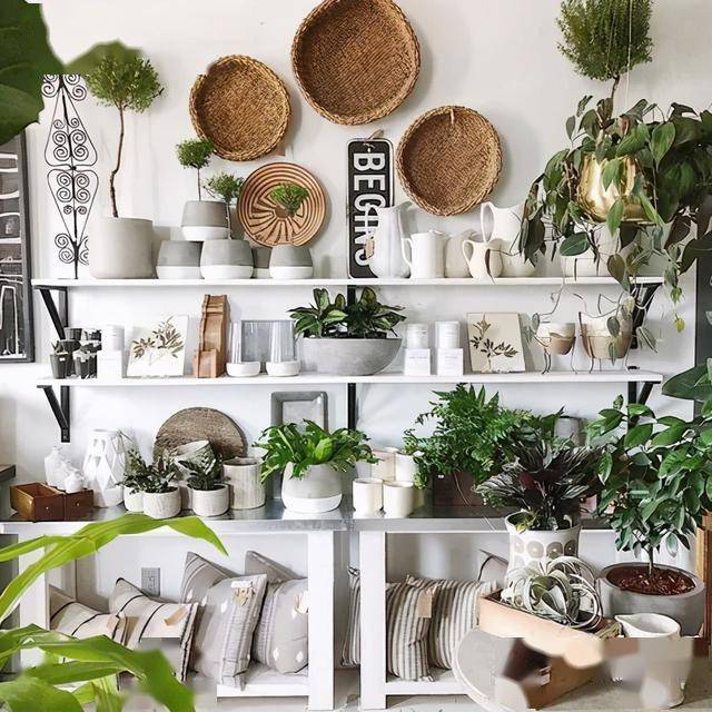 花艺师花店空间通过软装设计有趣更有调