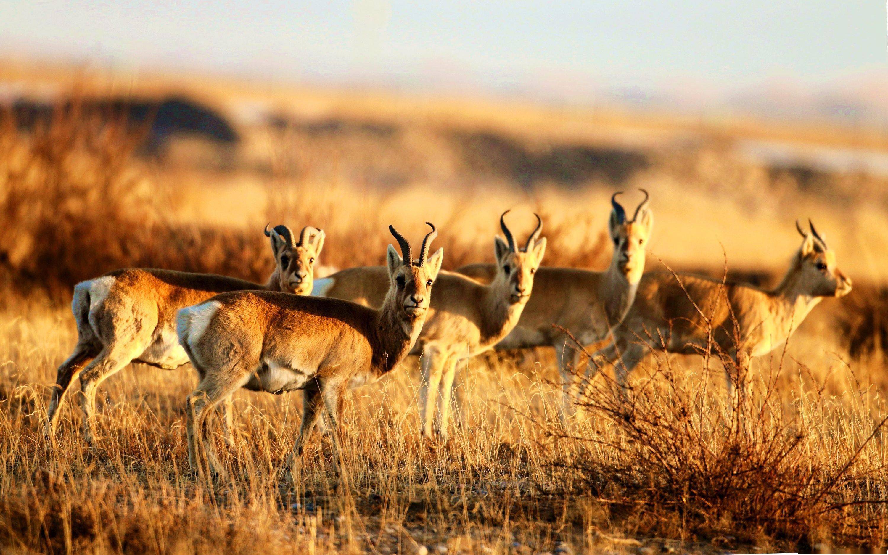 新闻8点见丨银行拟推"三孩贷",是对"生育"概念的降格