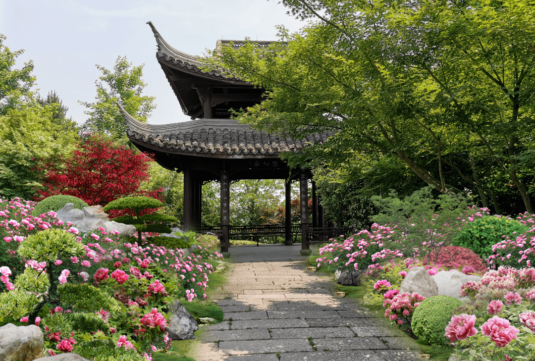 超美临平这个公园有大变化在你家附近吗