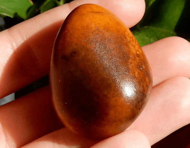 老熟罕见的和田玉沁色籽料是玉中的珍品明白这些事影响大了