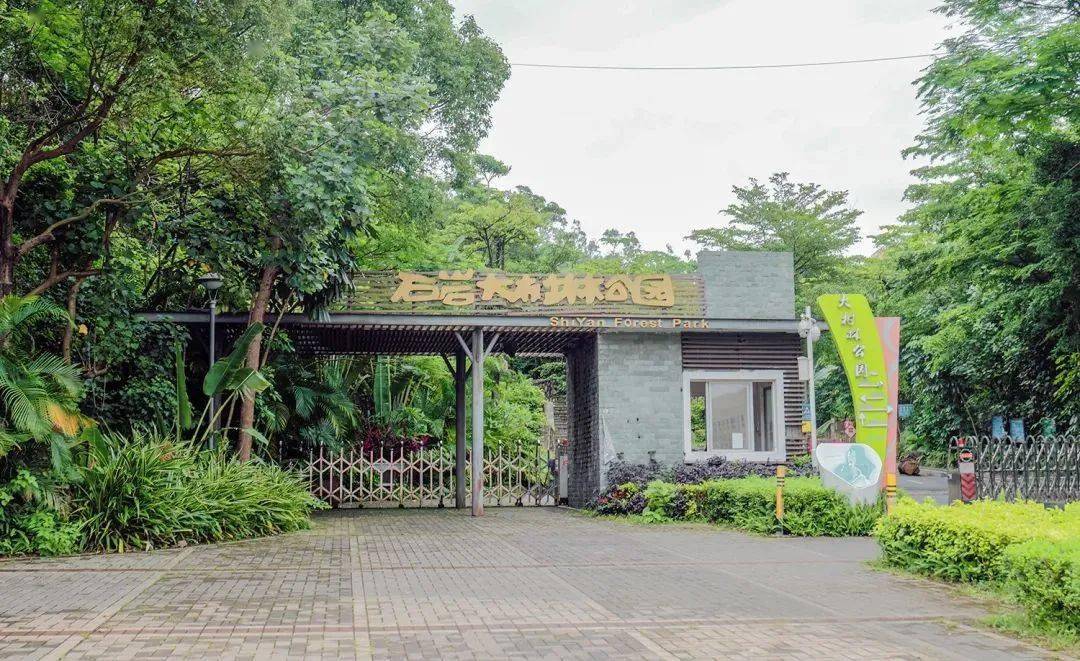 一到节日,公园门口会摆满鲜花 去石岩湖湿地公园环湖骑行