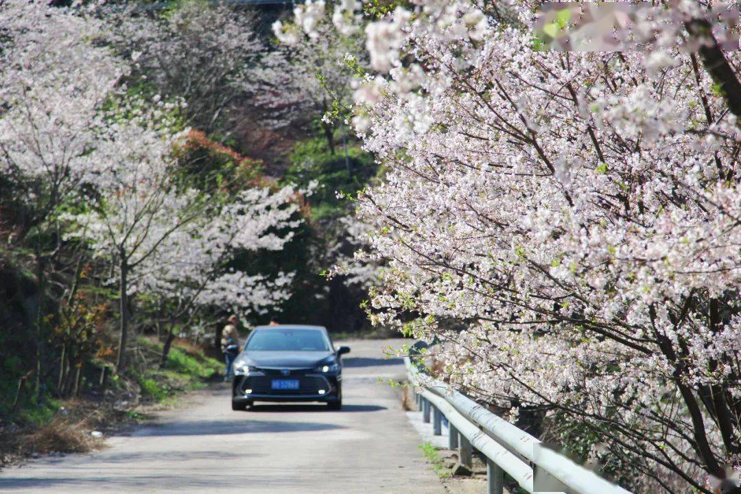21年6月7日预报 施工