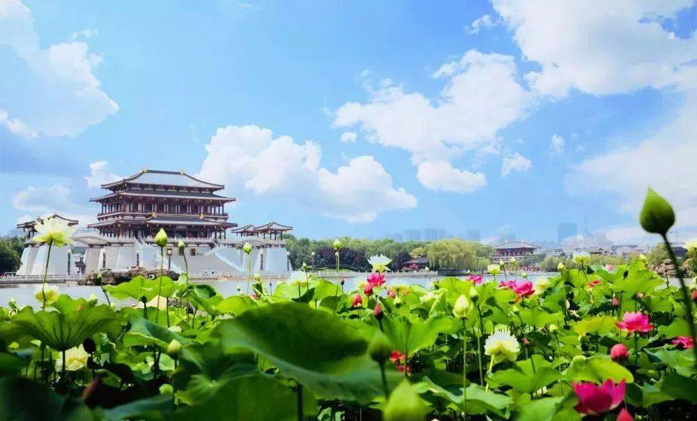 助力高考大唐芙蓉园演出时间调整啦