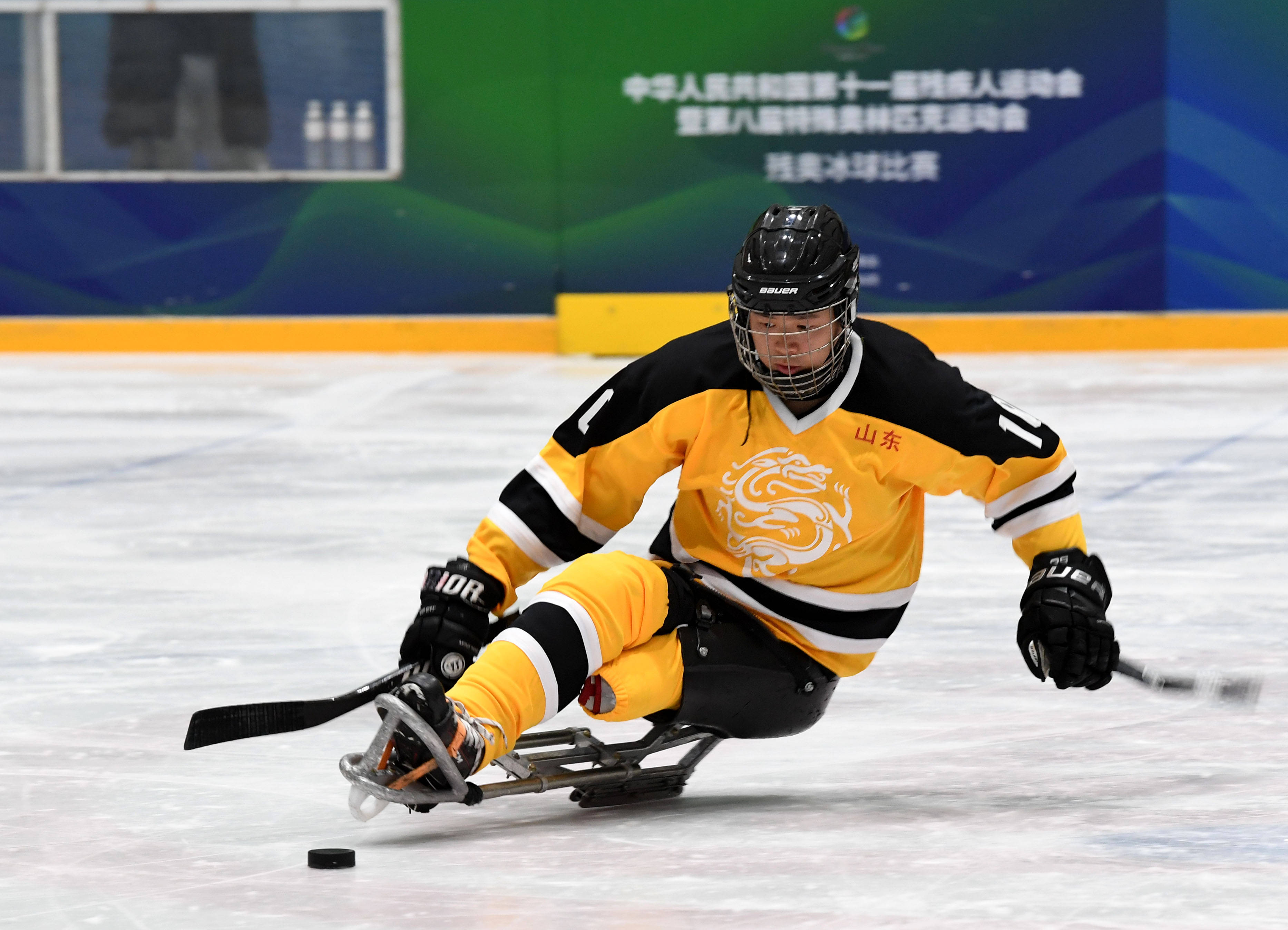 冰球全国残运会山东胜北京