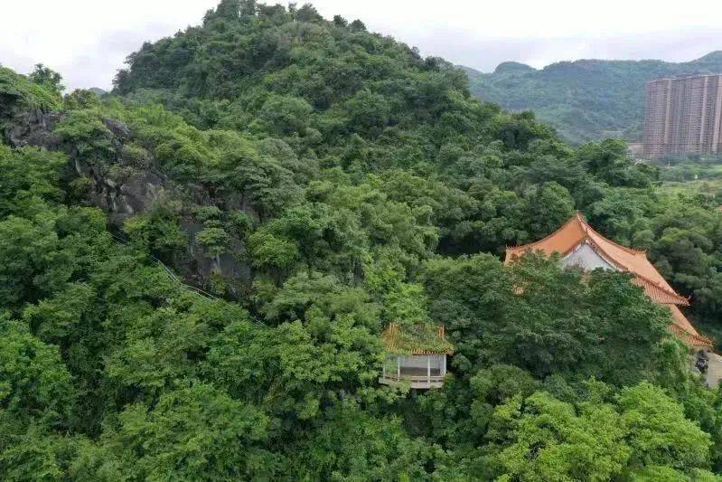英德南山第一景--煮茗台!