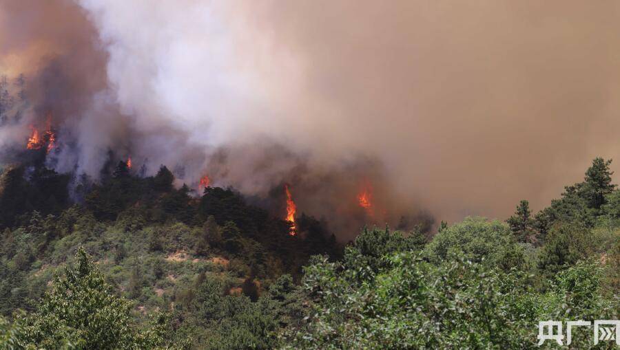 新疆近百名消防指战员全力扑救山西晋城森林火灾