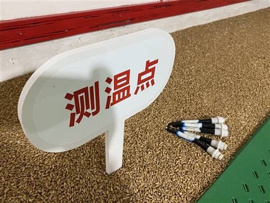 四川粮油批发中心直属储备库粮仓测温点 刘如楠摄