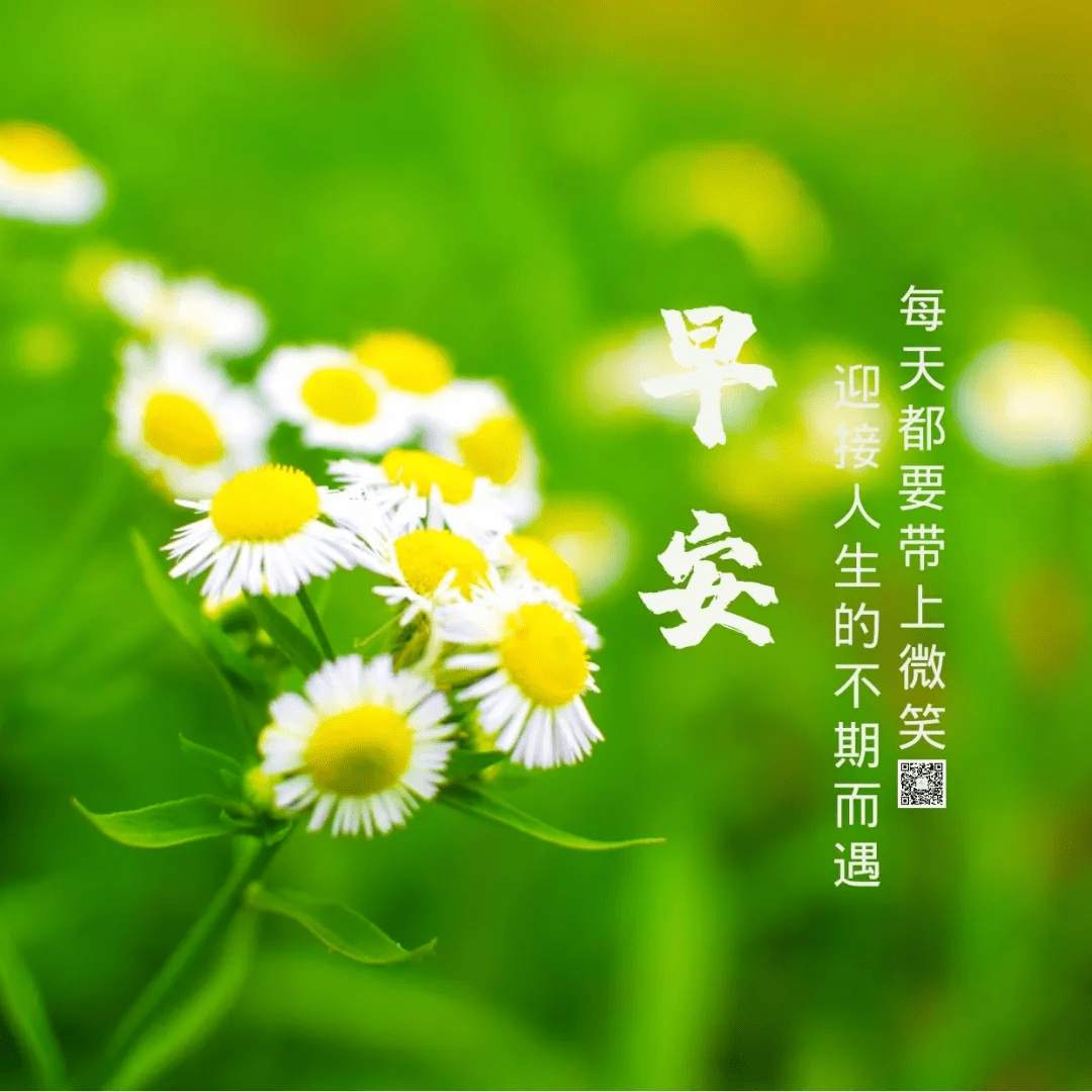 6e4e80ecca4442d187dbb05519d2f39e.png