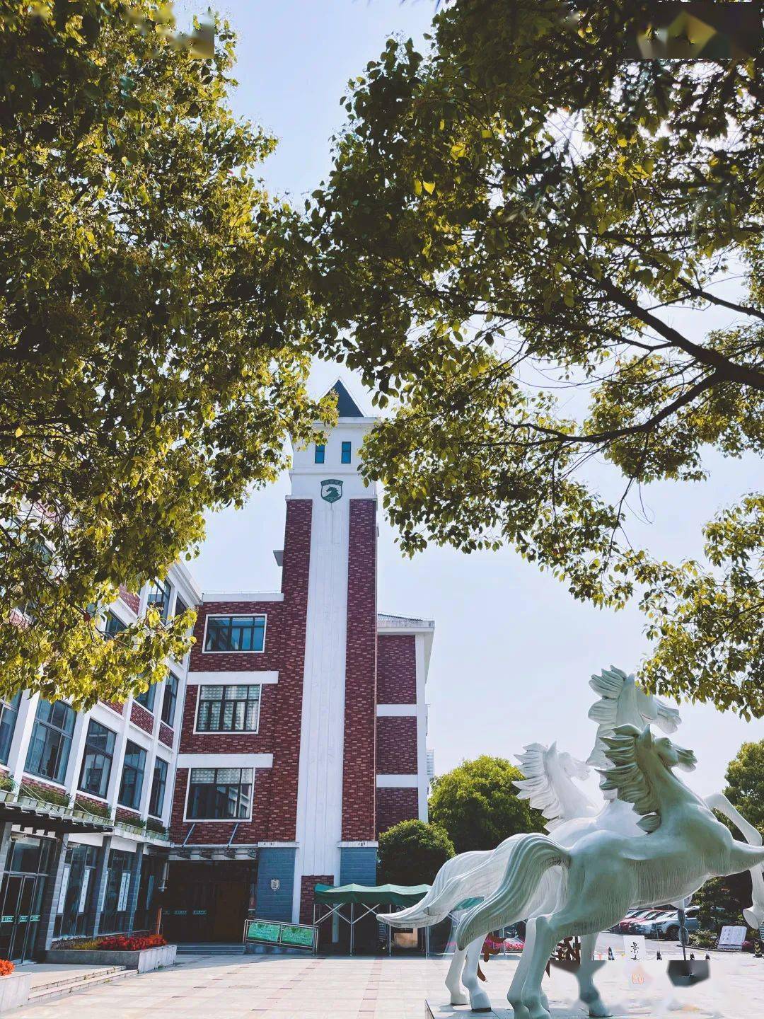 汇贤的日子 花开的样子