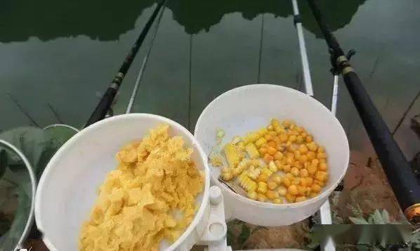 b0801213cfe04e32a0b19ad3a6a92fbe.jpeg
