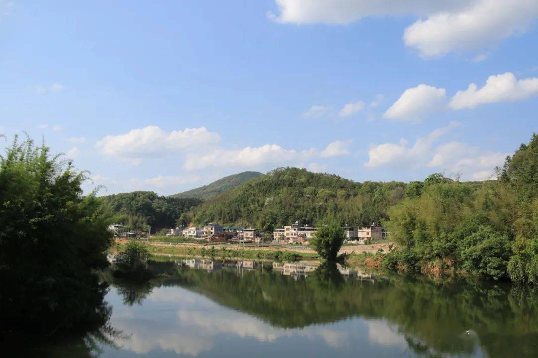 我和我的家鄉徵文展播⑦武平這一山旮旯蝶變美鄉村