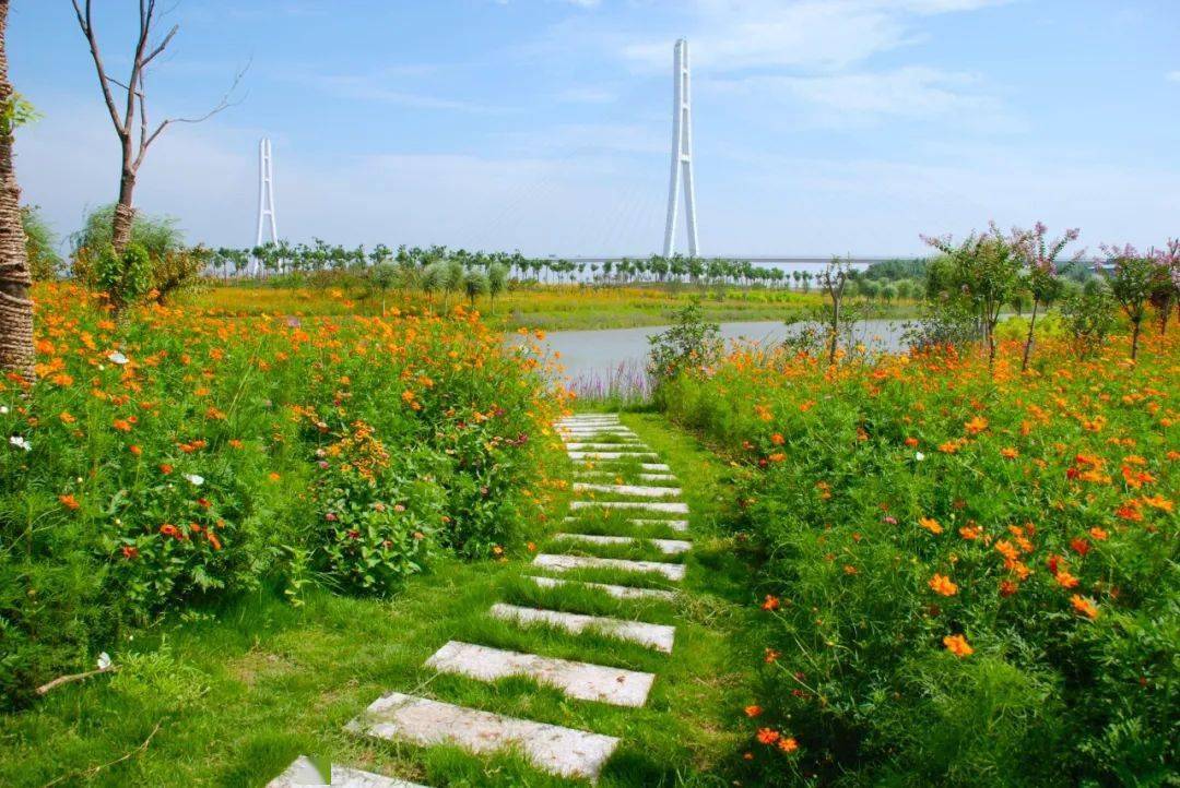 长江大保护雨花三桥湿地公园生态修复基地揭牌啦