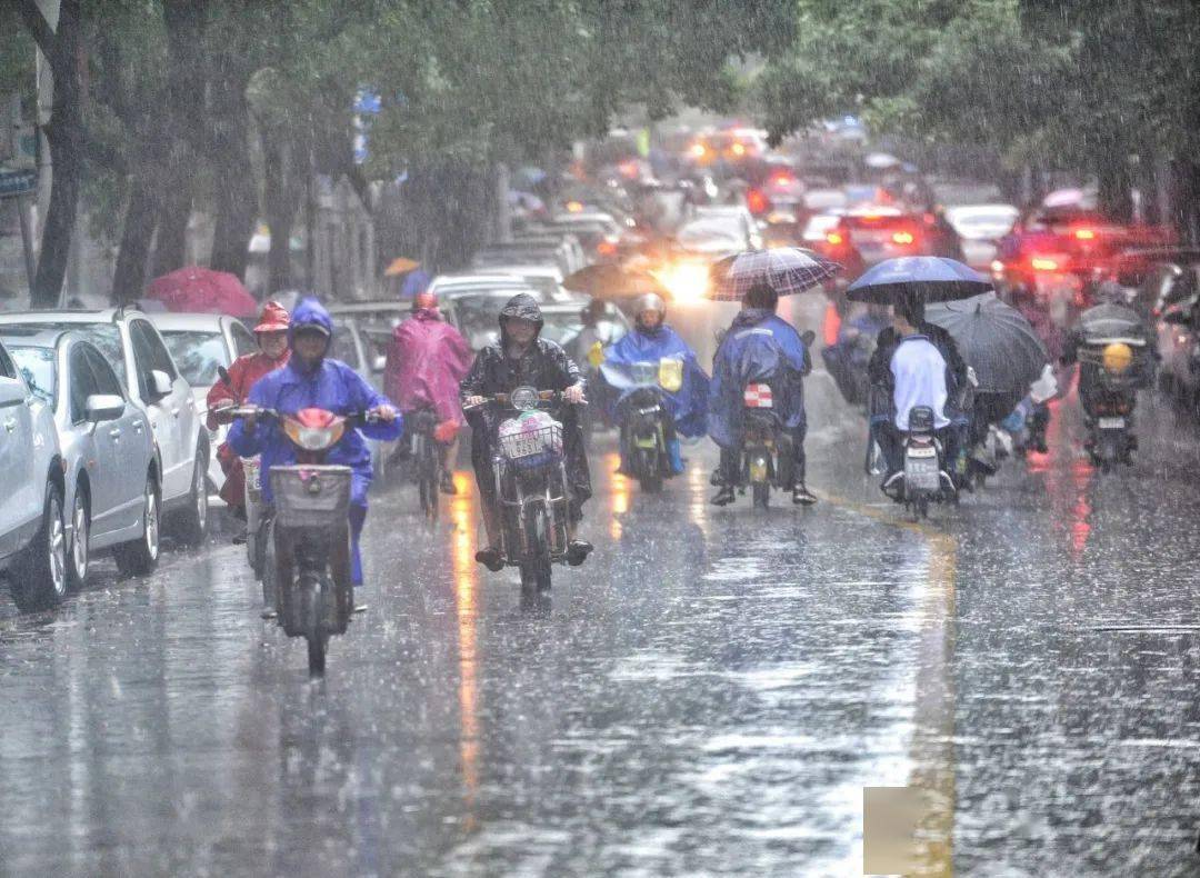 雷阵雨 中雨 大雨!未来三天……_天气