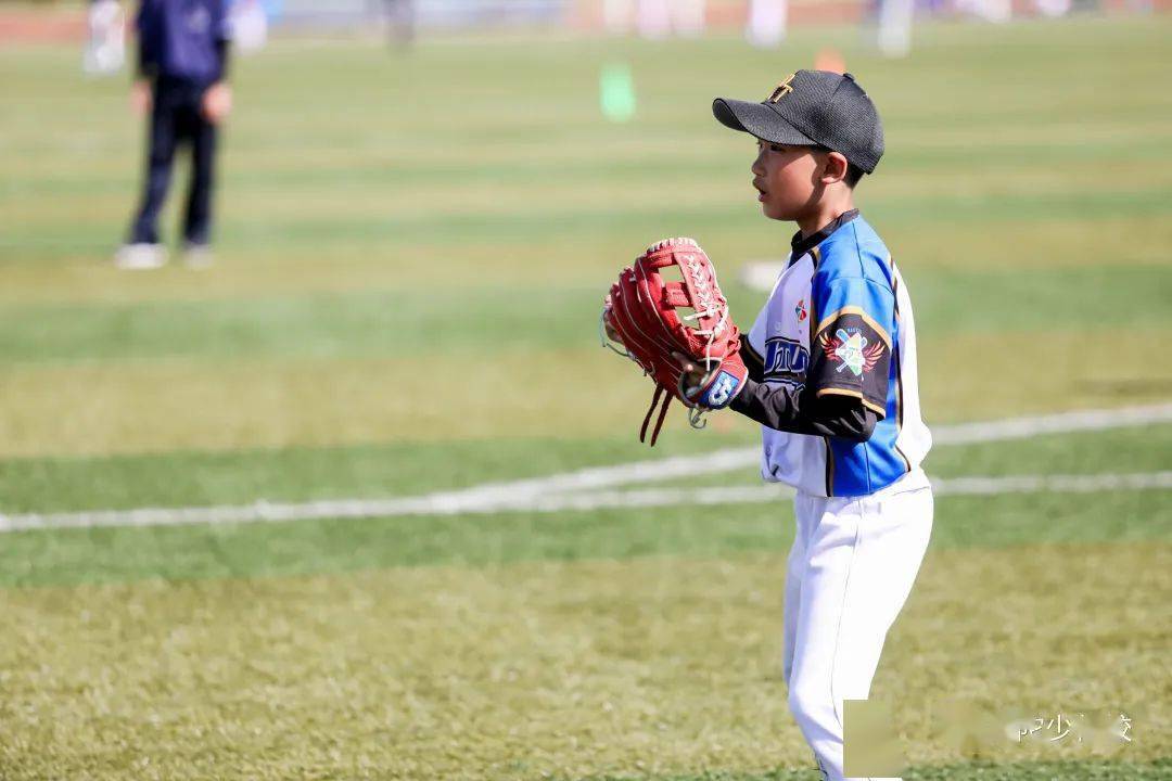 普陀热血棒球少年 燃情夏日再夺冠军