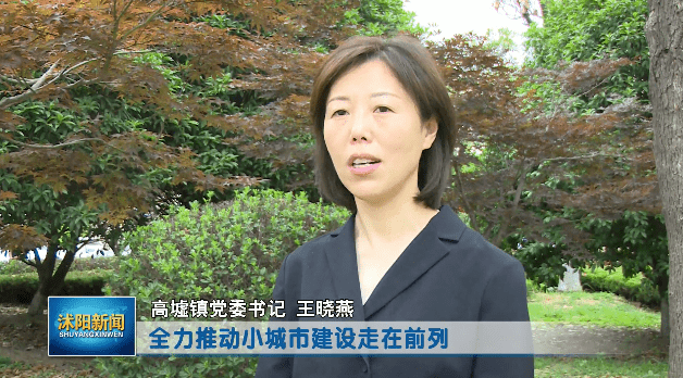 沭阳县高墟镇图片