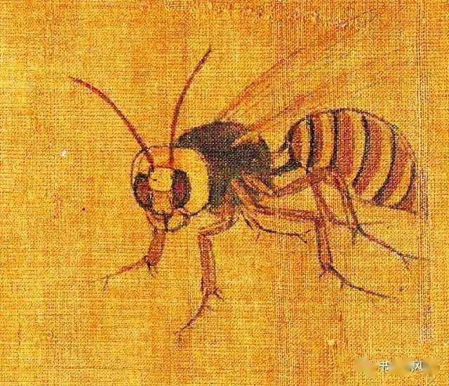 黄筌 珍禽图(局部)五代 黄筌 珍禽图 北京故宫博物院藏黄筌,黄居寀是