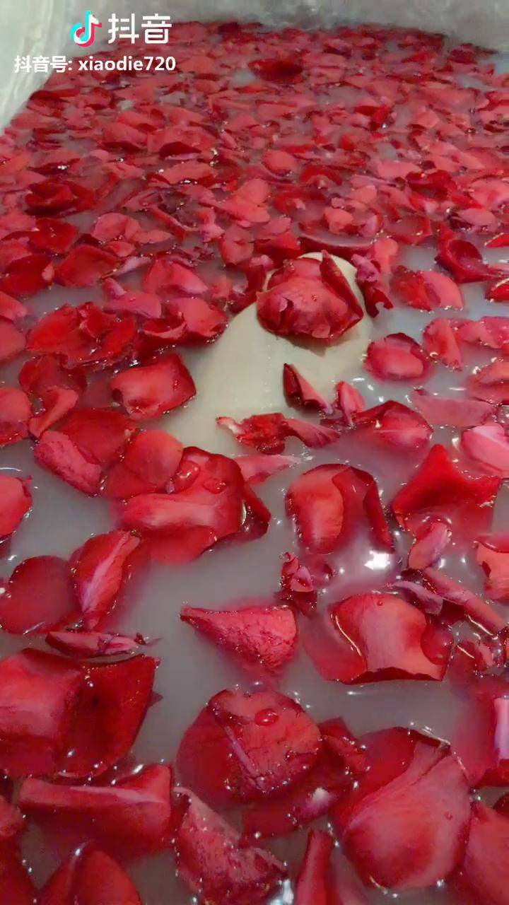 新鲜玫瑰花瓣牛奶浴