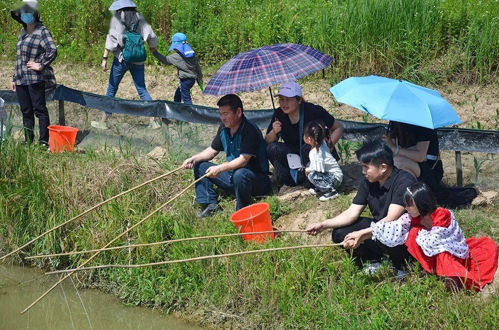 庐江汤池举办龙虾节垂钓比赛太火爆嗨翻天