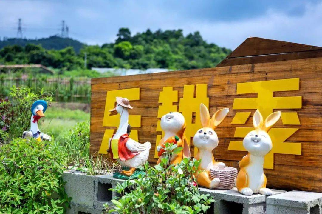 河源晚报"乡村变形记"来啦_生活