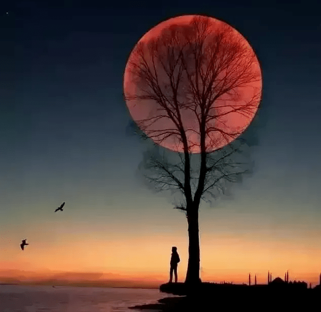 8196056929854d30b4333e40a63dcadf.png