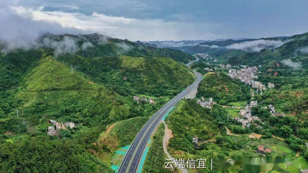 云茂高速全线6月11日中午12点正式通车!