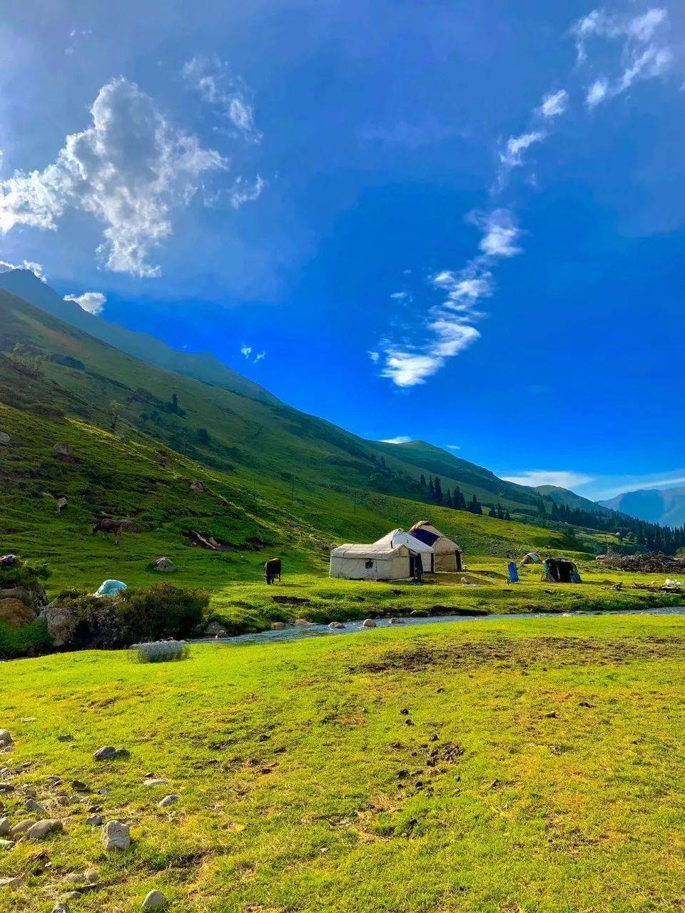 04一般人去伊犁河谷,会去喀拉峻大草原,但大多都不会去琼库什台.