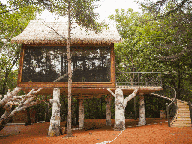 白天游"清凉",夜晚住"清凉",住进山间的民宿,日观云海,夜望星河.