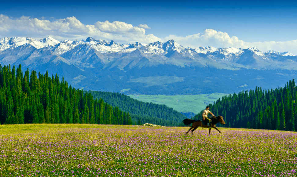 天山极致美景专属课程私享牧场不一样的伊犁之夏
