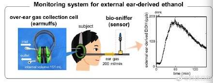 测量|工程学 “耳套”传感器可通过皮肤测量酒精含量