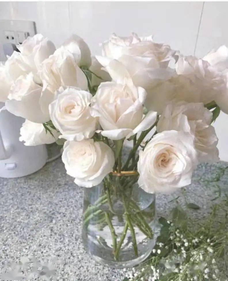 花草念 玫瑰馥郁 甜酷外露 Rose 花草念 玫瑰馥郁 甜酷外露 Rose
