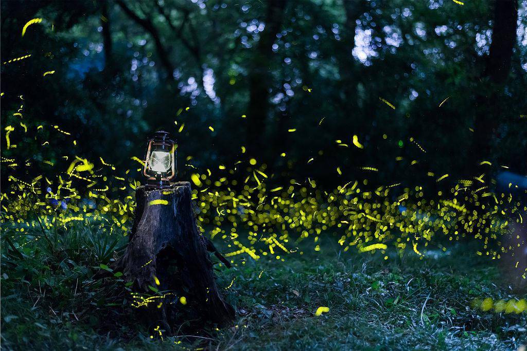 纵览全球夏日限定美景 许你一场仲夏夜之梦
