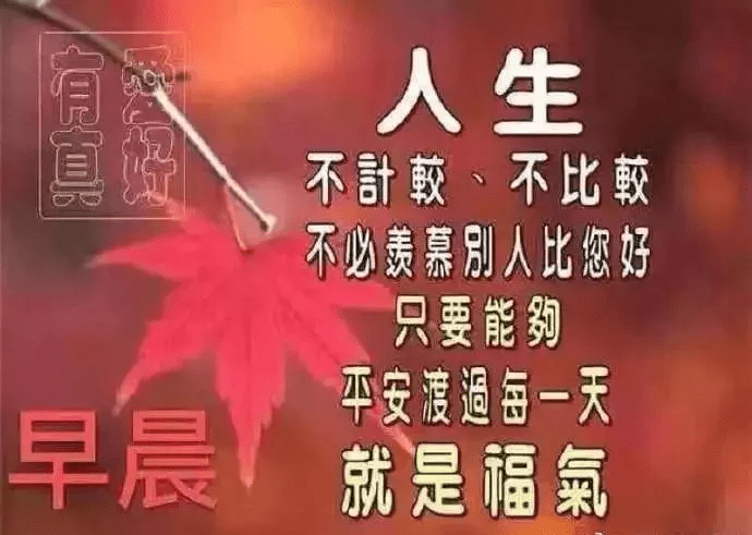 4e5a776e6c3140a3944cb19028246613.png
