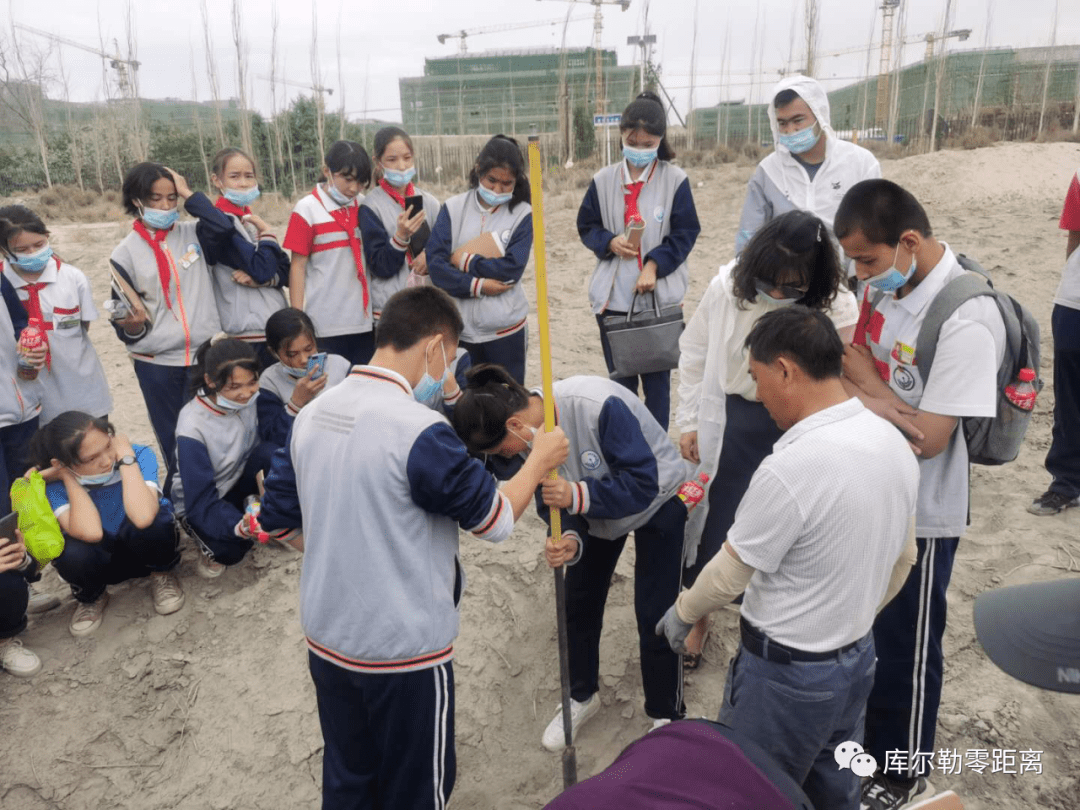 农民丰收丨新疆库尔勒：树上香梨满 树下搬运忙 -天山网 - 新疆新闻门户