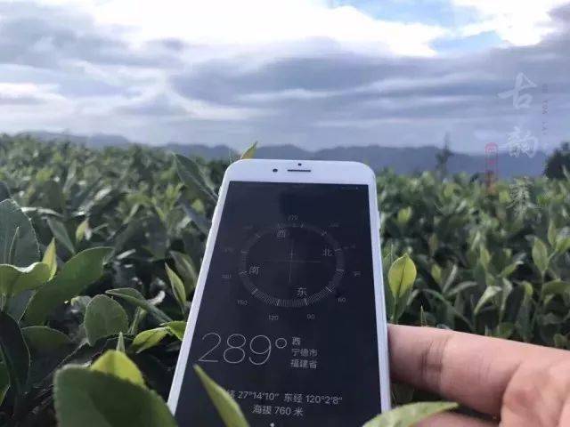 文章配图-10