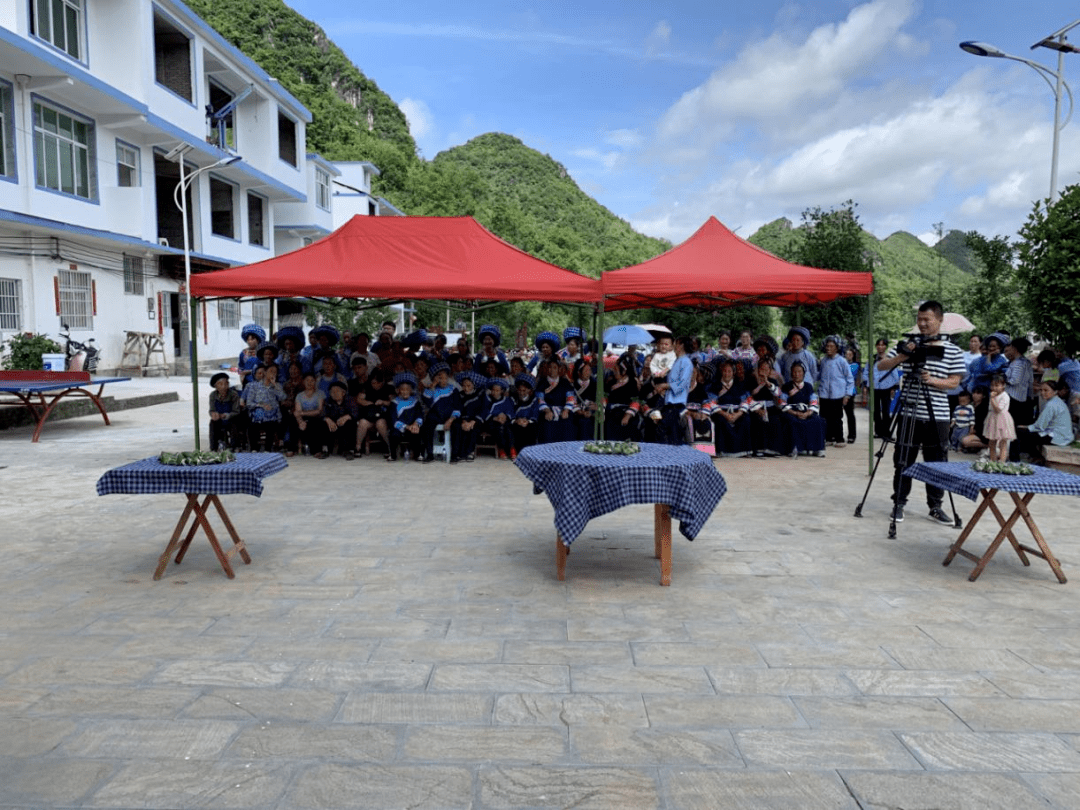 马厂镇茂良村举办"过端午 树民风 弘扬民族精神"主题党日活动