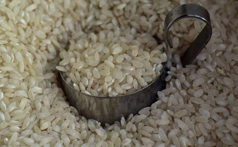 原来保存大米这么简单,不发霉不生虫,简单实用!