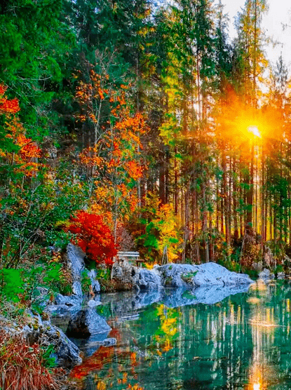 美文选粹 | 李娟:喀吾图的永远之处