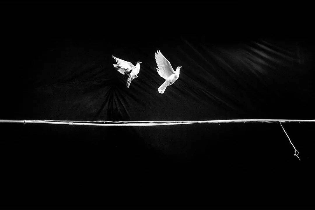 一组帅到极致的超现实黑白摄影作品