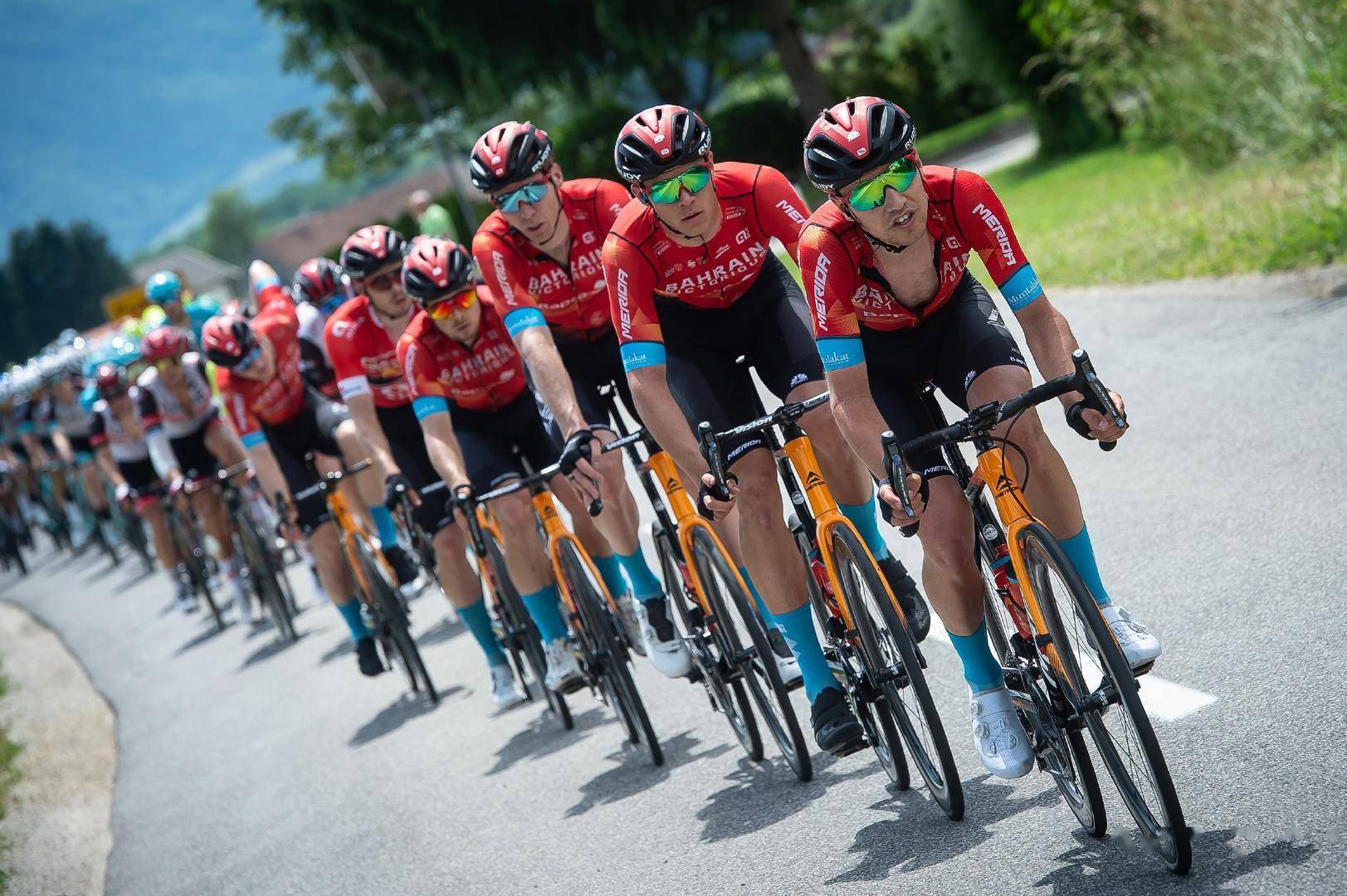 双冠入荷巴林胜利车队满载而归