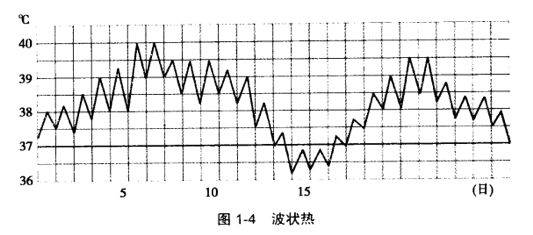 发烧体温上升是什么原理_发烧体温图片(3)