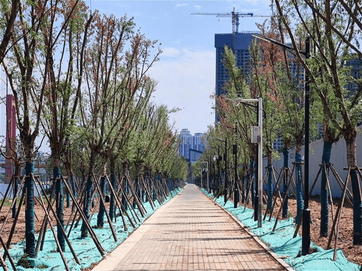 武汉"升级版"江滩即将上新 八铺街堤江滩展露容颜