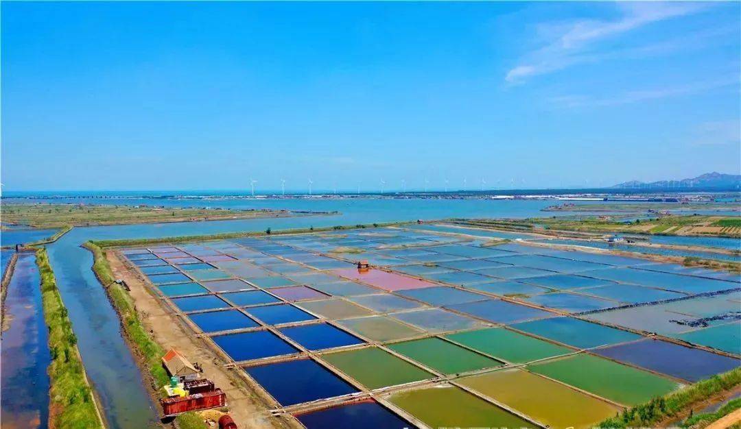 岱青海蓝化七彩,你想要的颜色这都有!_盐田