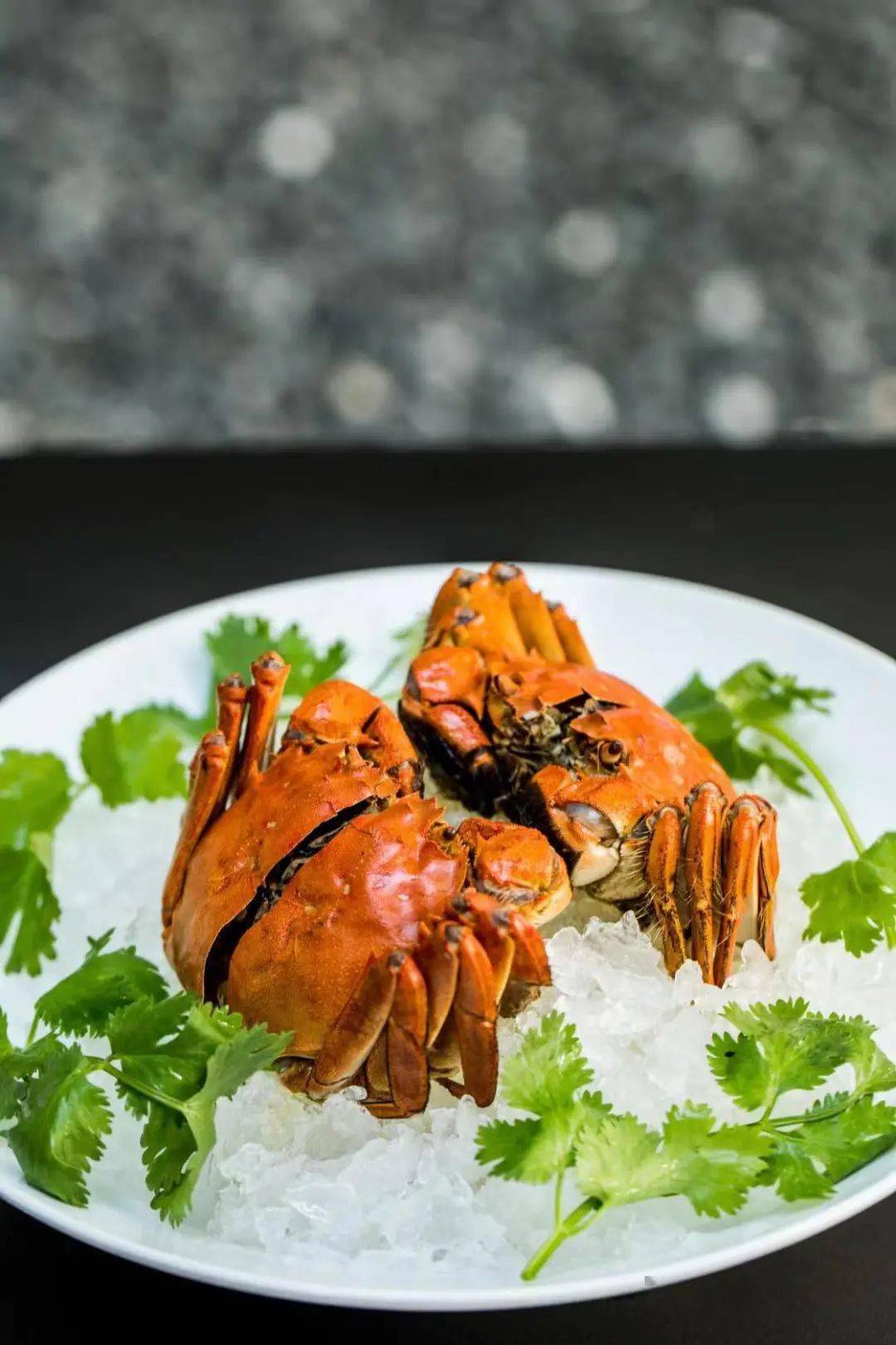 阿丽拉乌镇-你的专属海派美食节