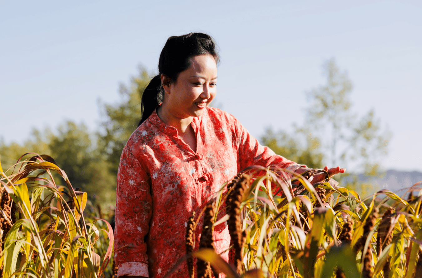 河北省张家口市赤城县挂职县委常委,副县长 赵可2019年冬天,时任海淀