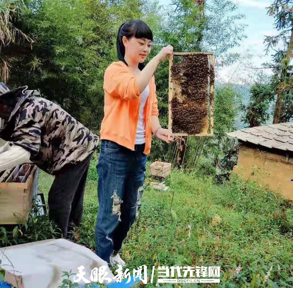 怕那山头听"蜂"声 敬老院里送"亲"情——纳雍县水东镇怕那村养蜂"小