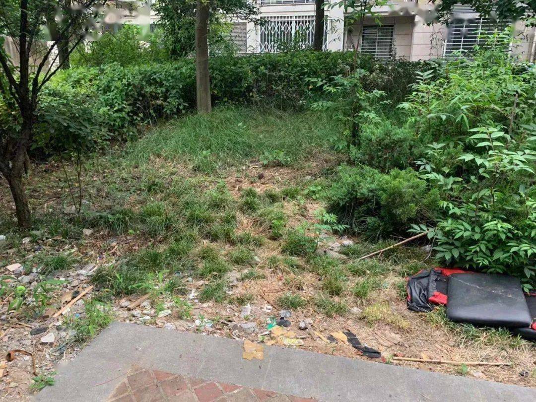 马鞍山一小区被居民曝光!_绿洲花园