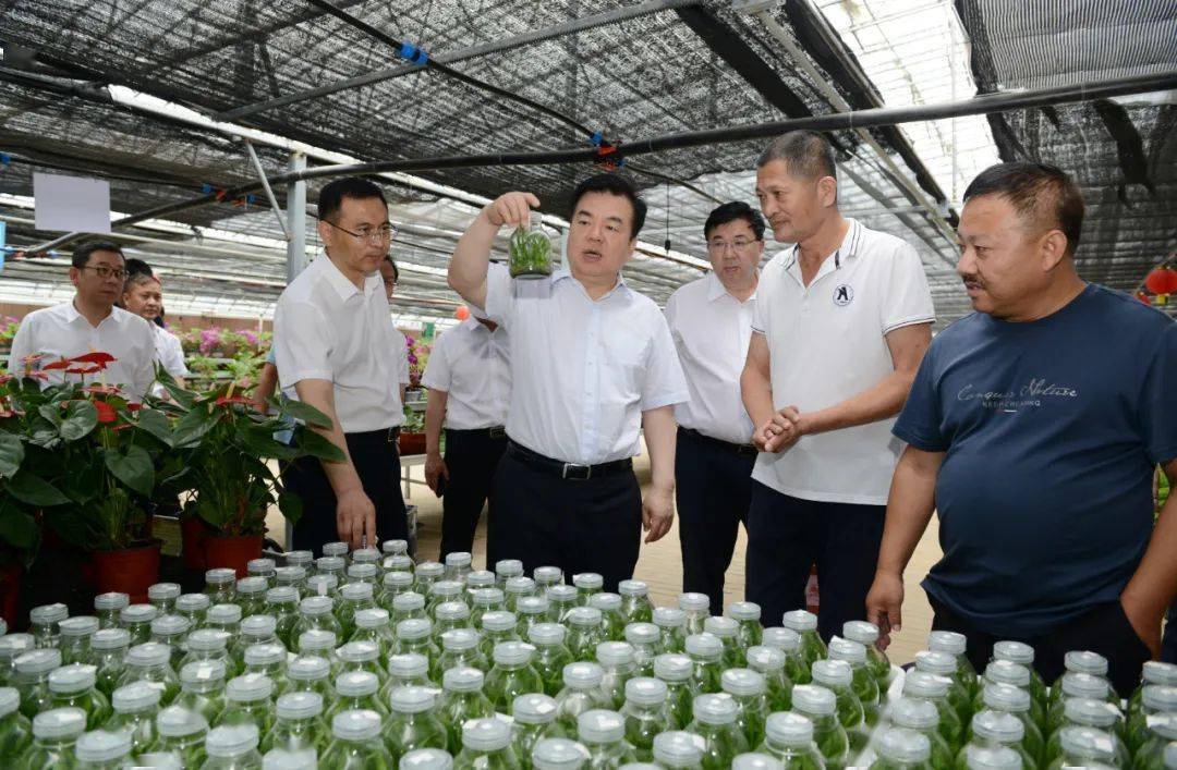 党晓龙在定兴县调研检查时强调抓好一区一谷一高地一城一河一机场建设