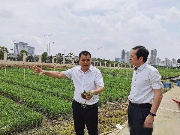 中科院专家团队赴广西调研甘蔗产业科技提升难题