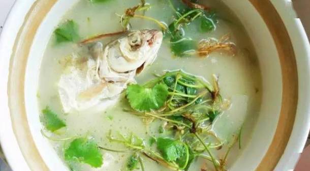 德庆人叫它崩大碗用对了可清热解毒利湿消肿