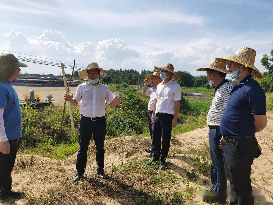 聚焦发展,国联赋能!湛江坡头区委书记带队考察对虾农业产业园